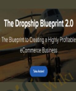 The Dropship Blueprint 2.0 – Michael Saba