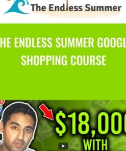 The Endless Summer Google Shopping Course - Sharad Thaper