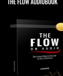 The Flow Audiobook -  The Modern Man