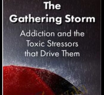 The Gathering Storm: Addiction And The Toxic Stressors That Drive Them – Patrick Carnes
