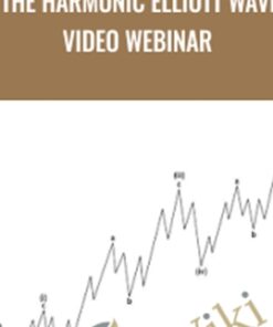 The Harmonic Elliott Wave Video Webinar - Anonymous
