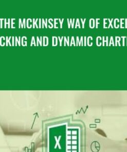 The McKinsey Way Of Excel Hacking and Dynamic Charting - Sandor Kiss & Matthias Bellmann