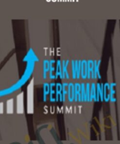 The Peak Work Performance Summit