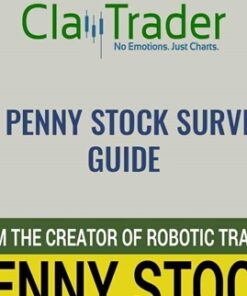 The Penny Stock Survival Guide - Claytrader