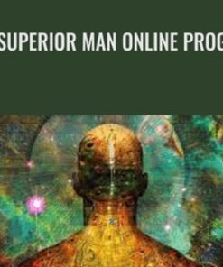 The Superior Man Online Program - David Deida