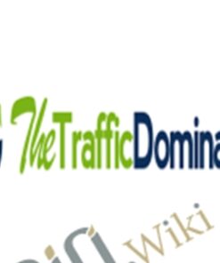 The Traffic Dominator – Greg Cesar