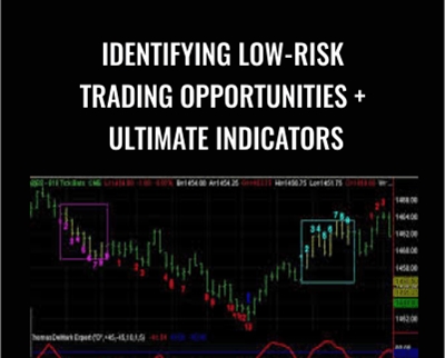 Identifying Low-Risk Trading Opportunities + Ultimate Indicators – Tom Demark