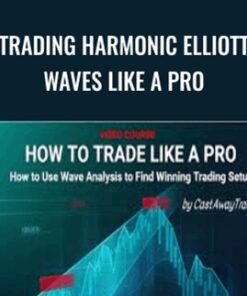 Trading Harmonic Elliott Waves like a PRO – CastAway Trader