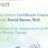 Treat Anxiety Fast: Certificate Course with Dr. David Burns - David Burns