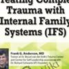 Treating Complex Trauma with Internal Family Systems (IFS): Certificate Training - Frank G. Anderson