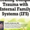 Treating Complex Trauma with Internal Family Systems (IFS): 2-Day Certificate Course - Frank G. Anderson