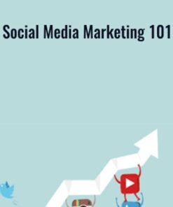 Social Media Marketing 101 - Vision Paradox