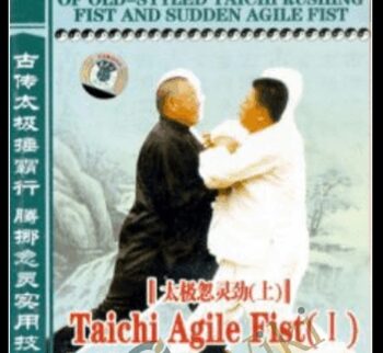 Tengnuo Huling Taichi Chuan - Zhan Guo Yuan