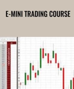 E-mini Trading Course – Zoran Kolundzic