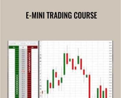 E-mini Trading Course – Zoran Kolundzic