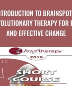 An Introduction to Brainspotting: A Revolutionary Therapy for Rapid and Effective Change - Susan Pinco