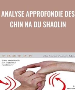 Analyse Approfondie des CHIN NA du Shaolin - Yang Jwing Ming