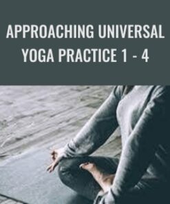 Approaching Universal Yoga Practice 1 - 4 - Andrey Lappa