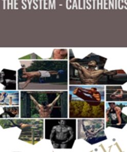 The System - Calisthenics - Bar Brothers