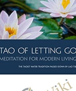 The Tao of Letting Go 6CDS – Bruce Frantzis
