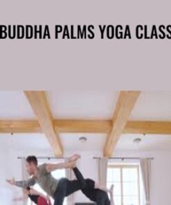 Buddha Palms Yoga Class - Dylan Werner