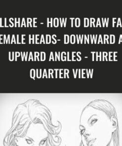 SkillShare - How To Draw Faces - Female Heads- Downward and Upward Angles - Three Quarter View  - Clayton Barton