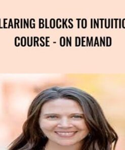 Clearing Blocks to Intuition Course - On Demand - Wendy De Rosa