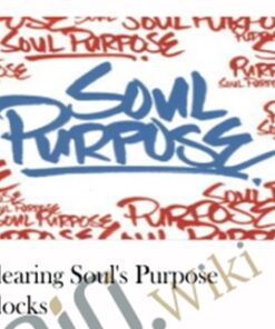 Clearing Soul's Purpose Blocks