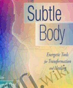 The Subtle Body Training Course - Cyndi Dale