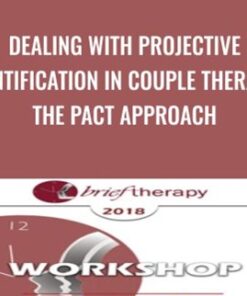 Dealing with Projective Identification in Couple Therapy: The PACT Approach - Stan Tatkin