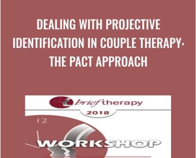 Dealing with Projective Identification in Couple Therapy: The PACT Approach - Stan Tatkin
