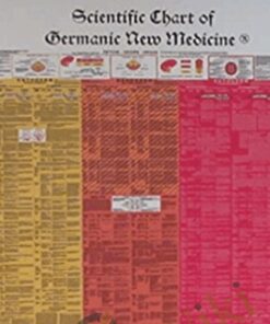 The Scientific Chart Of Germanic New Medicine - Ryke Geer Hamer