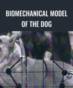 BioMechanical Model of the Dog - Evgenij Yerusalimsky