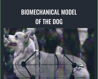 BioMechanical Model of the Dog - Evgenij Yerusalimsky