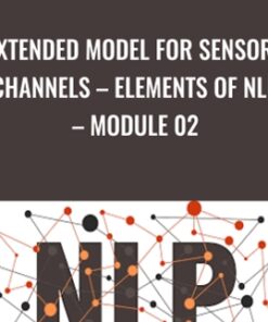 Extended Model for Sensory Channels – Elements of NLP – Module 02 - Chris Mulzer