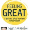 Feeling Great: A New High-Speed Treatment for Depression - David Burns