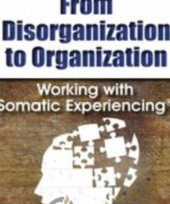 From Disorganization to Organization: Working with Somatic Experiencing® - Nancy Napier