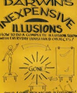 Inexpensive Illusions - Gary Darwin