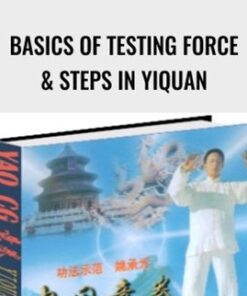 Basics of Testing force & steps in Yiquan – Healing posts