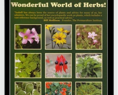 Herb Course: The Wonderful World of Herbs! - Isabell Shipard