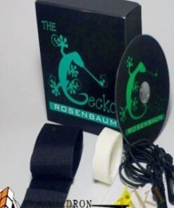 The Gecko - Jim Rosenbaum