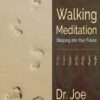 Walking Meditation: Stepping into Your Future Volume One - Joe Dispenza