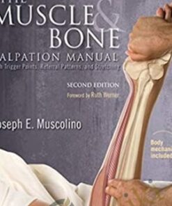The Muscle and Bone Palpation Manual - Joseph Muscolino