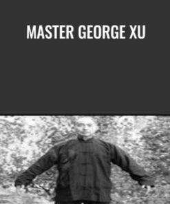 Master George Xu - Wu Wei Qigong