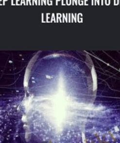Deep Learning Plunge into Deep Learning - Muni Kumar Gopu V R