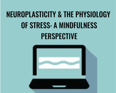 Neuroplasticity & the Physiology of Stress: A Mindfulness Perspective - Clyde Boiston