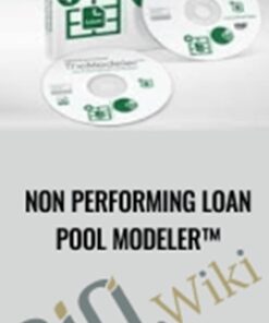 Non Performing Loan Pool Modeler™