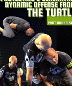 Protecting & Generating Dynamic Offense From The Turtle - Priit Mihkelson
