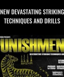 New Devastating Striking Techniques and Drills - Punishment