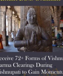 Receive 72+ Forms of Vishnu Karma Clearings During Vishnupati to Gain Momentum, Clarity, and Deeper Levels of Divine Support for your Career and Soul's Mission